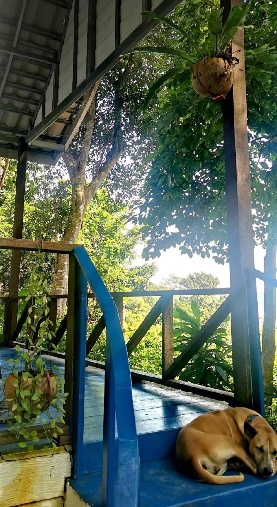 Rasta View Bangalows Koh Chang Extérieur photo